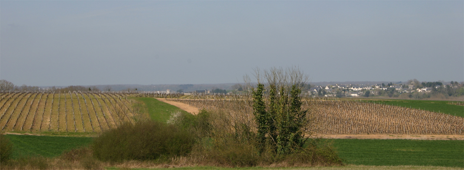 Damien Delecheneau, Touraine