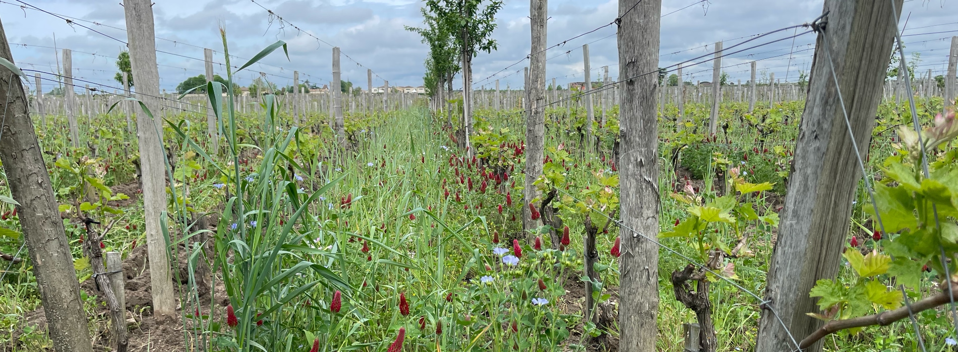 Bordeaux 2022 Voorverkoop