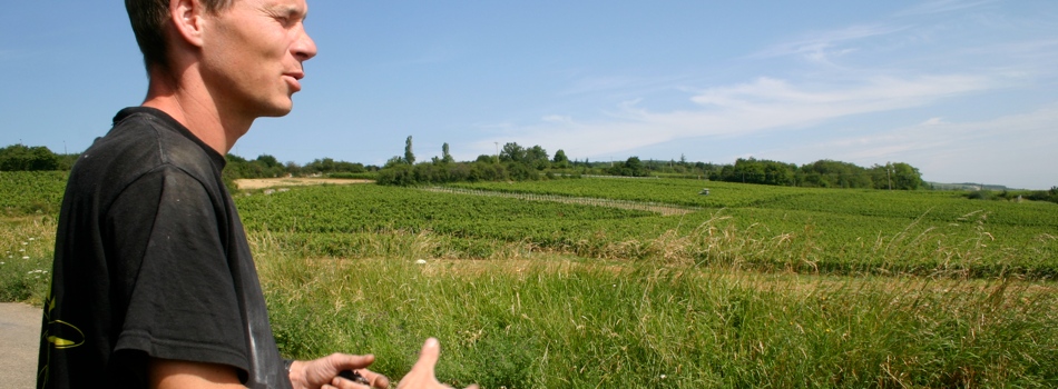 Domaine de la Bongran, Viré-Clessé