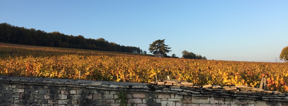 Domaine Prieuré Roch, Nuits-Saint-Georges