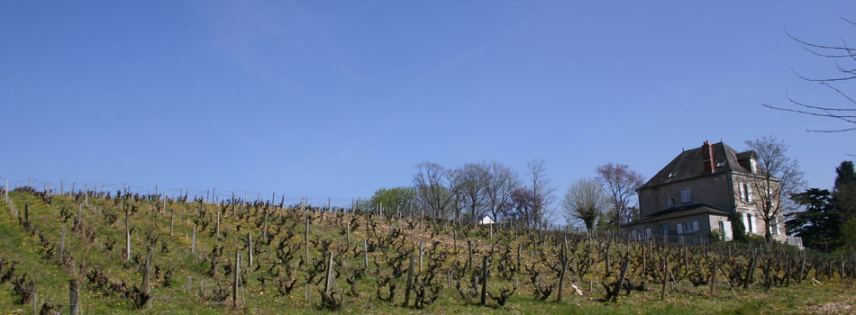 Vincent Carême, Vouvray