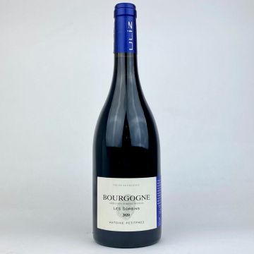 Antoine Petitprez Bourgogne rouge Les sorbins 2022