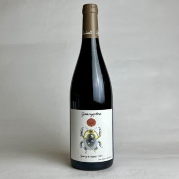 Antoine Lienhardt Coteaux Bourguignons rouge Gamayoptere 2023 