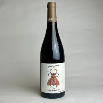 Antoine Lienhardt Coteaux Bourguignons rouge Gamayoptere 2023 